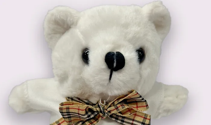 Ursinho de Pelucia 5x5